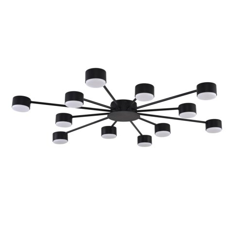 Светильник потолочный Torina 8344/12C Lumion чёрный на 12 ламп, основание чёрное в стиле минимализм 