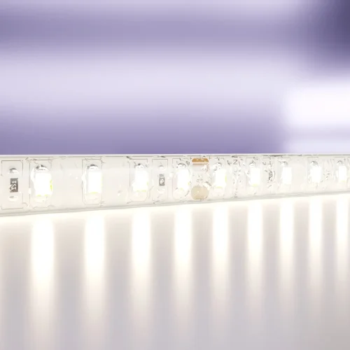 Светодиодная лента 24В 10146 Maytoni цвет LED нейтральный белый 4000K, световой поток 1000Lm фото 2