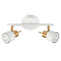 Спот с 2 лампами Almach A1906PL-2WH Arte Lamp белый GU10 в стиле модерн 