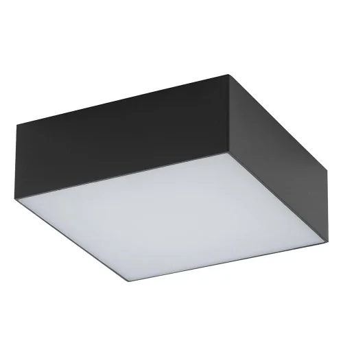 Светильник потолочный ЛЕД Квадрат (Square Led) 10424-NW Nowodvorski чёрный на 1 лампу, основание чёрное в стиле современный Светильник потолочный ЛЕД Квадрат (Square Led) 10424-NW Nowodvorski чёрный на 1 лампу, основание чёрное в стиле современный