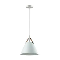 Светильник подвесной Darren 3720/1 Lumion белый на 1 лампу, основание белое в стиле современный 