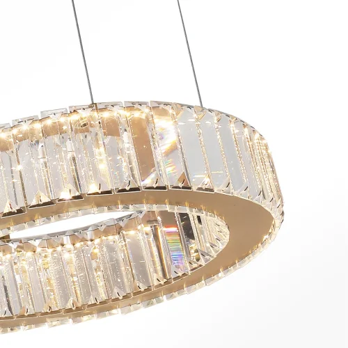 Люстра подвесная LED Manor 4195-4P Favourite прозрачная на 1 лампа, основание золотое в стиле классический кольца фото 5