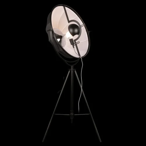 Торшер Studio 10301/M LOFT IT  чёрный 1 лампа, основание чёрное в стиле лофт
 фото 2