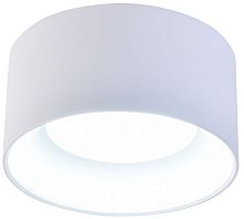 Светильник накладной Rout 4211-1C Favourite белый 1 лампа, основание белое в стиле модерн хай-тек 