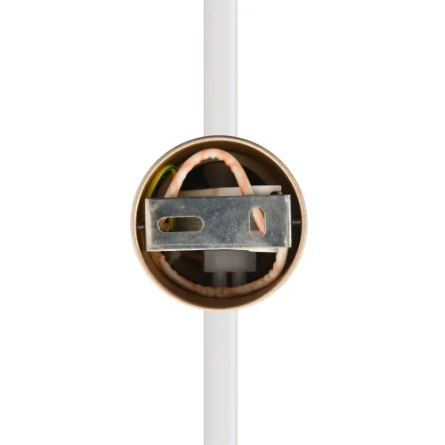 Бра с выключателем LED DIMM Bram 8311/14WL Lumion золотой на 1 лампу, основание золотое в стиле современный хай-тек минимализм трубочки отражённый свет фото 5