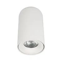 Светильник накладной LED Tictac 10220 White 3000K LOFT IT белый 1 лампа, основание белое в стиле современный круглый