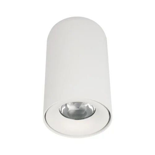 Светильник накладной LED Tictac 10220 White 3000K LOFT IT белый 1 лампа, основание белое в стиле современный круглый
