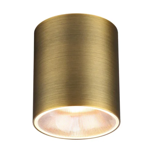 Светильник накладной LED Brim 7137/12CL Odeon Light бронзовый на 1 лампу, основание бронзовое в стиле современный хай-тек круглый фото 3
