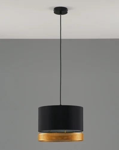 Светильник подвесной Gela V10629-1P Moderli чёрный золотой 1 лампа, основание чёрное в стиле современный лофт  фото 6