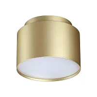 Светильник накладной Lirio 371039 Novotech золотой на 1 лампу, основание золотое в стиле минимализм круглый