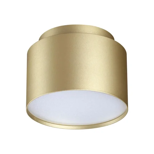 Светильник накладной Lirio 371039 Novotech золотой на 1 лампу, основание золотое в стиле минимализм круглый