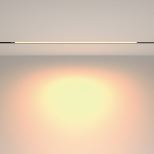 Трековый светильник LED Basis TR231-2-15W3K-B Maytoni чёрный для шинопроводов серии Basis чёрный фото 9 Трековый светильник LED Basis TR231-2-15W3K-B Maytoni чёрный для шинопроводов серии Basis чёрный фото 9