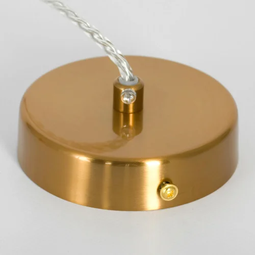 Светильник подвесной Blount LSP-8784 Lussole прозрачный 1 лампа, основание бронзовое в стиле хай-тек современный трубочки фото 6