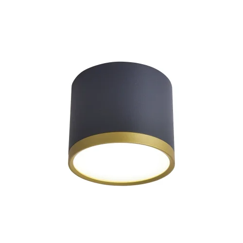 Светильник накладной LED Baral 3081-2C Favourite чёрный 1 лампа, основание чёрное в стиле современный круглый