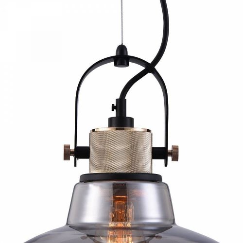 Светильник подвесной Irving T163PL-01C Maytoni серый прозрачный 1 лампа, основание чёрное в стиле лофт  фото 2
