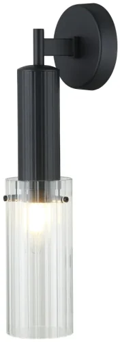 Бра Wunder 2160/02/01W Stilfort прозрачный на 1 лампа, основание чёрное в стиле современный 