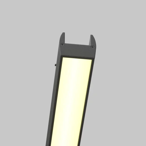 Трековый светильник LED Magnetic track system Elasity TR161-1-25W3K-B Maytoni чёрный для шинопроводов серии Magnetic track system Elasity чёрный фото 2