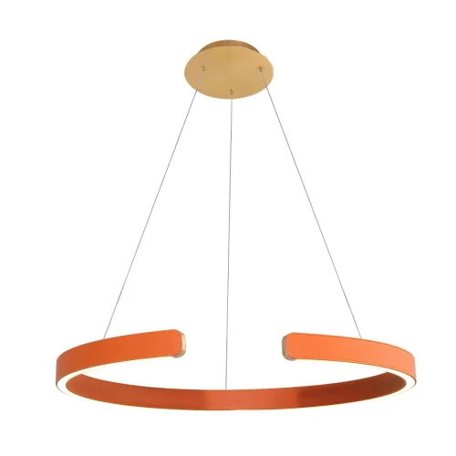Светильник подвесной LED Ring 10025/600 Orange LOFT IT оранжевый 1 лампа, основание золотое в стиле современный хай-тек кольца фото 2