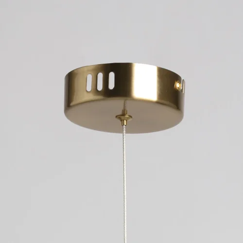 Светильник подвесной LED Капелия 730011701 DeMarkt прозрачный 1 лампа, основание бронзовое в стиле хай-тек шар фото 10