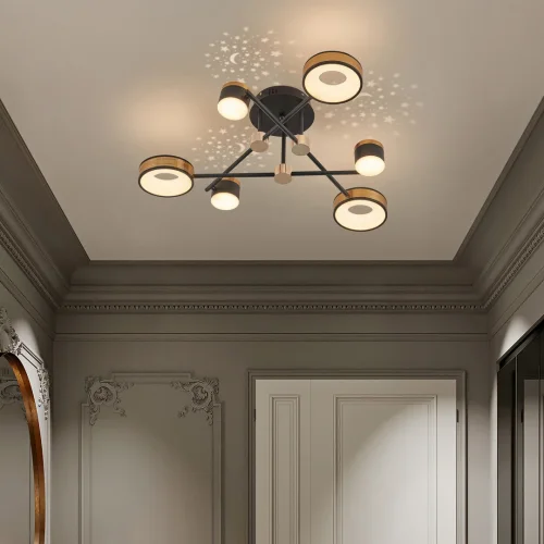 Люстра потолочная LED Ferrara-71040 271040/6 BK/GD Arte Milano белая на 1 лампу, основание чёрное в стиле современный хай-тек фото 9