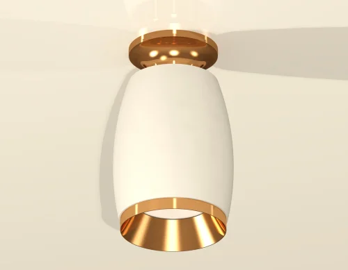Светильник накладной Techno spot XS1122044 Ambrella light белый 1 лампа, основание золотое в стиле хай-тек современный круглый фото 2