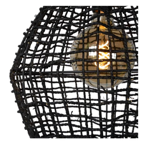 Светильник подвесной Alban 03438/35/30 Lucide чёрный 1 лампа, основание чёрное в стиле скандинавский  фото 6