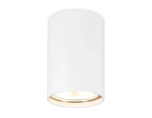 Светильник накладной TN213101 Ambrella light белый 1 лампа, основание белое в стиле минимализм хай-тек круглый