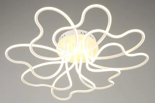 Люстра потолочная LED Folgaria OML-04307-160 Omnilux белая на 1 лампа, основание белое в стиле хай-тек  фото 2