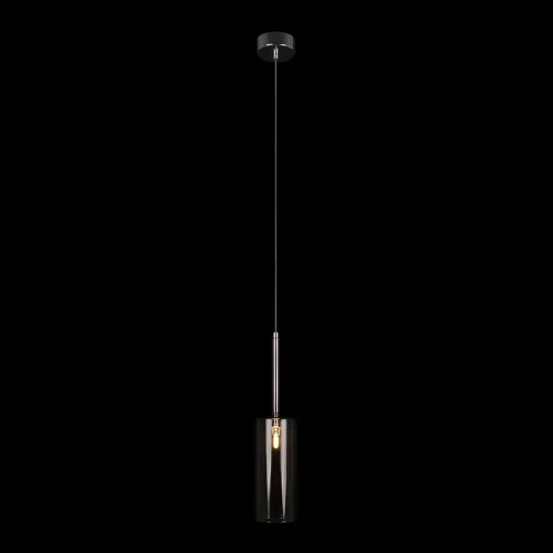 Светильник подвесной Spillray 10232/B Smoke LOFT IT прозрачный серый 1 лампа, основание хром в стиле современный  фото 2