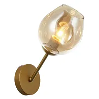 Бра Traube 2360-1W Favourite янтарный 1 лампа, основание золотое в стиле современный 