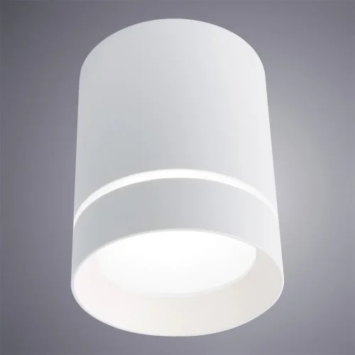 Светильник накладной LED Elle A1909PL-1WH Arte Lamp белый 1 лампа, основание белое в стиле современный круглый фото 2