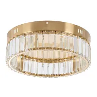 Люстра потолочная LED Irina MR2010-1CL MyFar прозрачная на 1 лампа, основание золотое в стиле модерн 