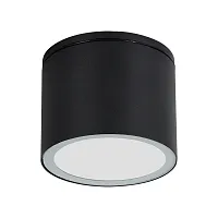 Накладной светильник уличный Piautos A1913PF-1BK Arte Lamp уличный IP54 чёрный на 1 лампу, плафон чёрный в стиле современный GX53