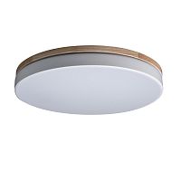 Светильник потолочный LED Axel 10001/36 White LOFT IT белый 1 лампа, основание белое в стиле модерн 