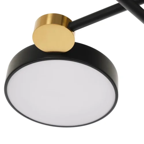 Люстра потолочная LED Mandy MR1230-6CL MyFar без плафона на 6 ламп, основание чёрное в стиле хай-тек современный  фото 7