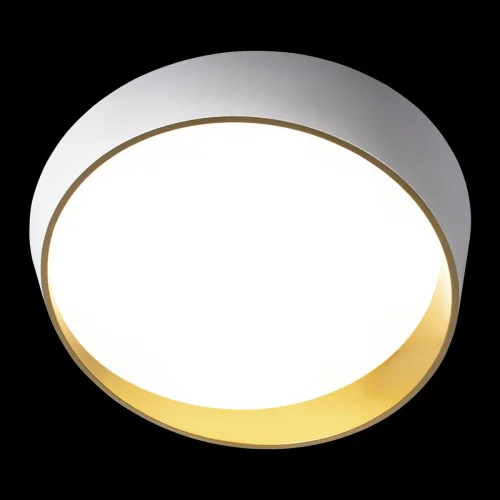 Светильник потолочный LED Coin 10199 White LOFT IT золотой белый 1 лампа, основание белое в стиле современный  фото 4