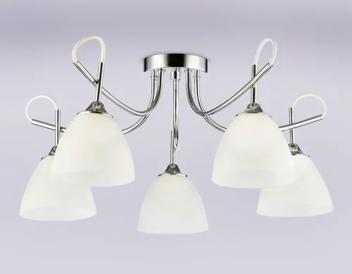Люстра потолочная TR3042 Ambrella light белая на 5 ламп, основание хром в стиле классический  фото 5