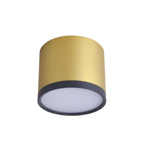 Светильник накладной LED Baral 3082-2C Favourite золотой 1 лампа, основание золотое в стиле современный круглый фото 2