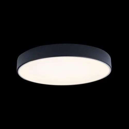 Светильник потолочный LED Axel 10002/24 Black LOFT IT белый 1 лампа, основание чёрное в стиле современный  фото 5