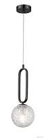 Светильник подвесной Pierre MR2241-1P MyFar прозрачный 1 лампа, основание чёрное в стиле современный шар