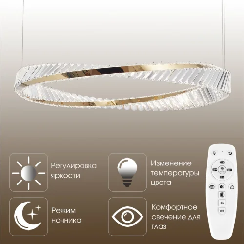 Люстра подвесная LED с пультом AM-Venezia 318311/D800 GD Arte Milano прозрачная на 1 лампу, основание золотое в стиле современный кольца с пультом фото 11