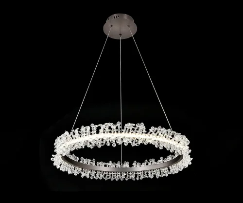 Люстра подвесная LED Лаура 08243,12A Kink Light прозрачная на 1 лампу, основание прозрачное в стиле флористика современный ветви кольца
