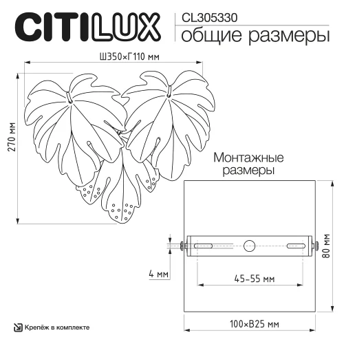 Бра Dryad CL305330 Citilux прозрачный белый на 3 лампы, основание золотое в стиле классический современный флористика фото 10