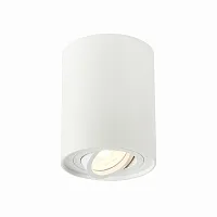 Светильник накладной Torus ST108.517.01 ST-Luce белый 1 лампа, основание белое в стиле хай-тек современный круглый