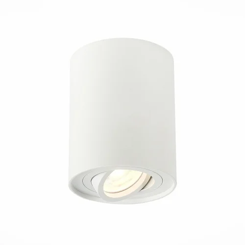 Светильник накладной Torus ST108.517.01 ST-Luce белый 1 лампа, основание белое в стиле хай-тек современный круглый