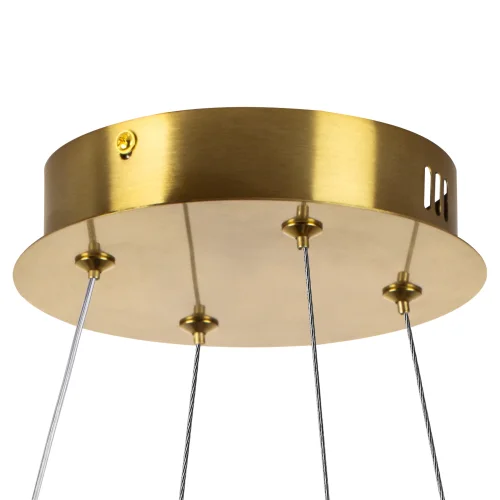 Светильник подвесной LED Vidare 699043 Lightstar прозрачный на 1 лампу, основание золотое в стиле современный кольца фото 4 Светильник подвесной LED Vidare 699043 Lightstar прозрачный на 1 лампу, основание золотое в стиле современный кольца фото 4