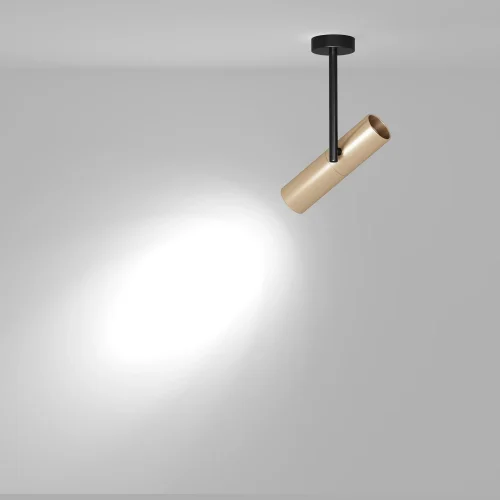 Светильник накладной Elti C020CL-01GB Maytoni золотой 1 лампа, основание чёрное золотое в стиле хай-тек круглый фото 6