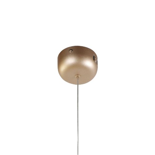 Светильник подвесной LED Tibia 2217-1P Favourite прозрачный 1 лампа, основание золотое в стиле модерн трубочки фото 4