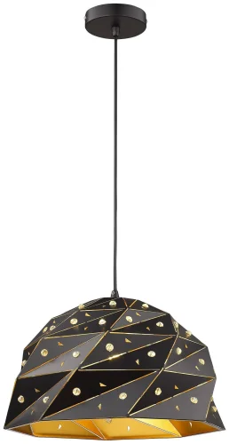 Светильник подвесной Delfina WE265.01.026 Wertmark чёрный 1 лампа, основание чёрное в стиле модерн 