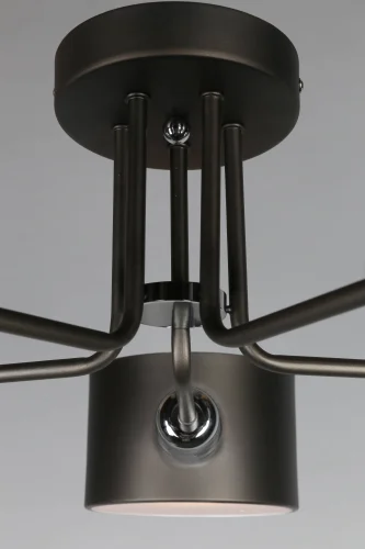 Люстра потолочная Lisera OML-54507-05 Omnilux коричневая на 5 ламп, основание коричневое в стиле современный  фото 3